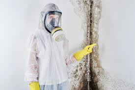 Ivyland, PA Mold Remediation Company